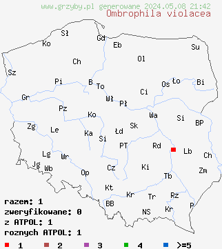 znaleziska Ombrophila violacea na terenie Polski