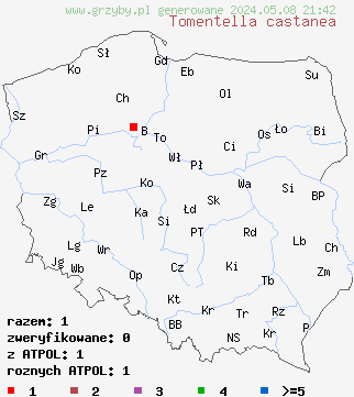 znaleziska Tomentella castanea na terenie Polski
