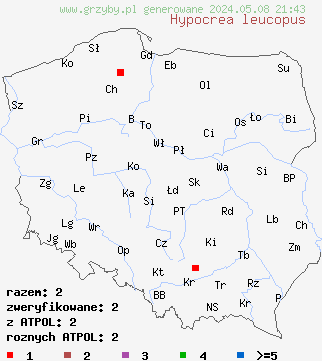 znaleziska Hypocrea leucopus na terenie Polski