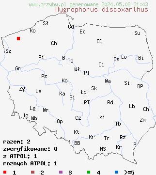 znaleziska Hygrophorus discoxanthus na terenie Polski
