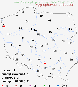 znaleziska Hygrophorus unicolor (wodnicha pomarańczowopłowa) na terenie Polski