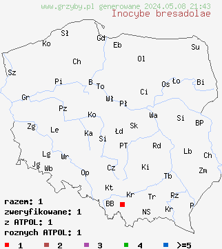 znaleziska Inocybe bresadolae (strzępiak owocowy) na terenie Polski