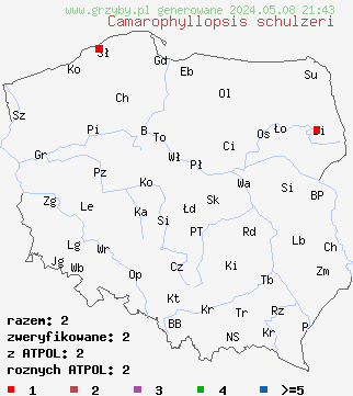 znaleziska Camarophyllopsis schulzeri (kopułeczek łąkowy) na terenie Polski