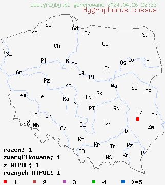 znaleziska Hygrophorus eburneus var. cossus na terenie Polski