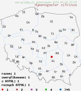znaleziska Hymenogaster citrinus na terenie Polski