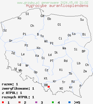 znaleziska Hygrocybe aurantiosplendens (wilgotnica ozdobna) na terenie Polski