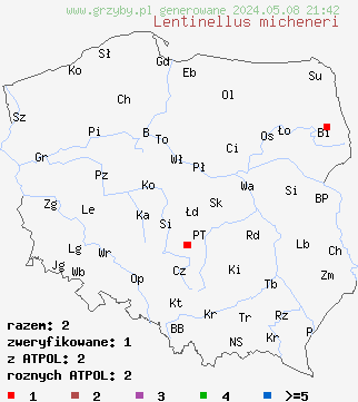znaleziska Lentinellus micheneri (twardówka lejkowata) na terenie Polski