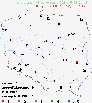 znaleziska Geoglossum vleugelianum (ziemiozorek brązowoparafizowy) na terenie Polski