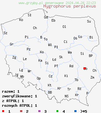 znaleziska Hygrophorus perplexus na terenie Polski