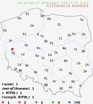 znaleziska Clitocella mundula (rumieniak czerniejący) na terenie Polski