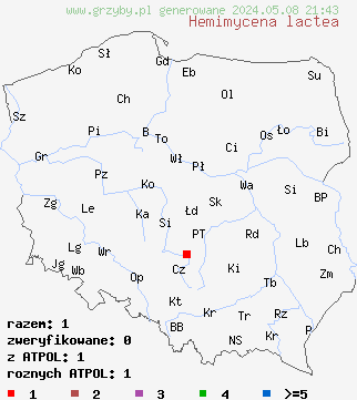 znaleziska Hemimycena lactea (białogrzybówka mlecznobiała) na terenie Polski