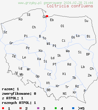 znaleziska Coltricia confluens (stułka pozrastana) na terenie Polski