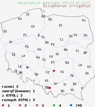 znaleziska Hygrocybe irrigata na terenie Polski
