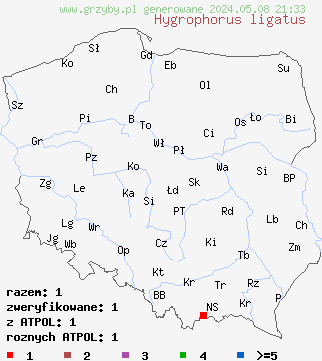 znaleziska Hygrophorus ligatus (wodnicha grubopierścieniowa) na terenie Polski