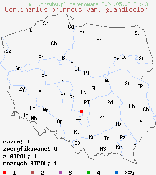 znaleziska Cortinarius brunneus var. glandicolor (zasłonak żołędziowy) na terenie Polski