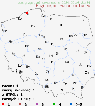 znaleziska Hygrocybe russocoriacea (kopuÅ‚ek juchtowaty) na terenie Polski