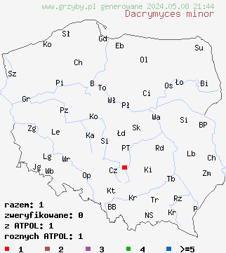 znaleziska Dacrymyces minor (łzawnik drobnoowocnikowy) na terenie Polski