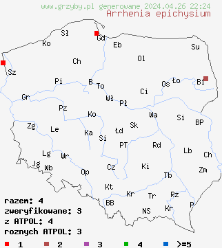 znaleziska Arrhenia epichysium (jÄ™zyczek nadrzewny) na terenie Polski