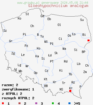 znaleziska Gloeohypochnicium analogum (nalotnica woskowata) na terenie Polski
