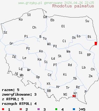 znaleziska Rhodotus palmatus na terenie Polski