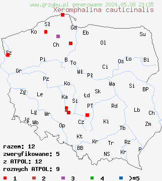 znaleziska Xeromphalina cauticinalis (pępowniczka żółtawa) na terenie Polski