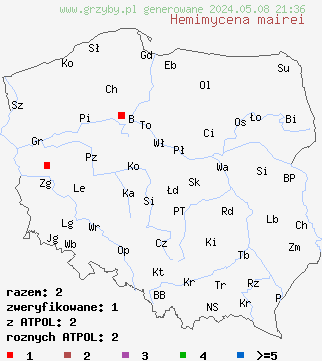 znaleziska Hemimycena mairei (białogrzybówka trawowa) na terenie Polski