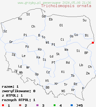 znaleziska Tricholomopsis ornata (rycerzyk czerwonołuskowy) na terenie Polski