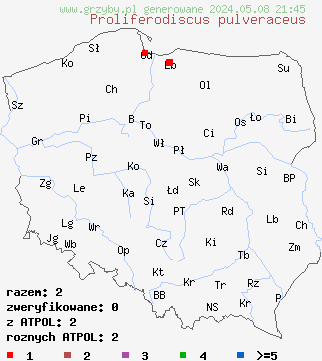 znaleziska Proliferodiscus pulveraceus na terenie Polski