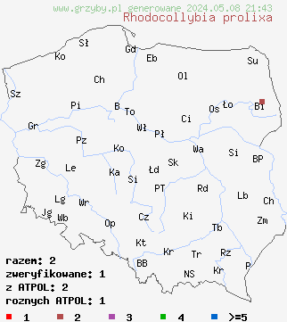 znaleziska Rhodocollybia prolixa (monetnica karbowanoblaszkowa) na terenie Polski