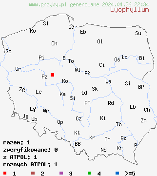znaleziska Lyophyllum na terenie Polski