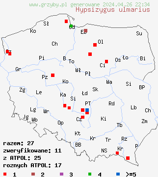 znaleziska Hypsizygus ulmarius na terenie Polski