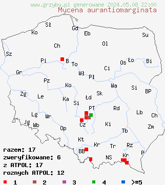 znaleziska Mycena aurantiomarginata (grzybówka pomarańczowoostrzowa) na terenie Polski