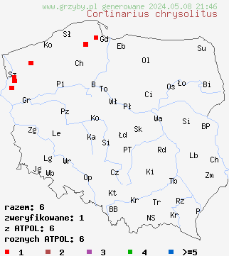 znaleziska Cortinarius chrysolitus na terenie Polski
