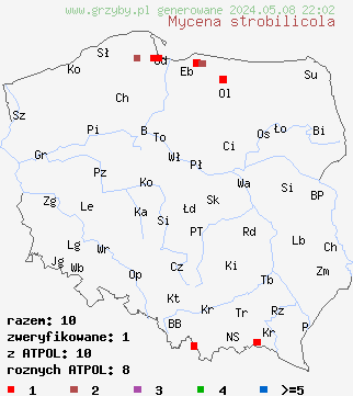 znaleziska Mycena strobilicola (grzybówka wiosenna) na terenie Polski