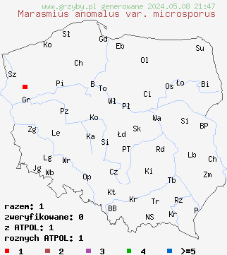 znaleziska Marasmius anomalus var. microsporus na terenie Polski