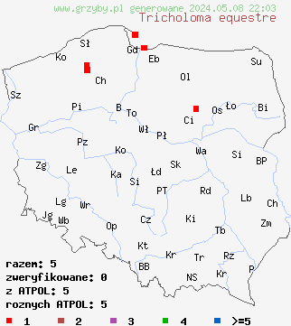 znaleziska Tricholoma equestre (gąska zielonka) na terenie Polski