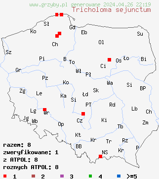 znaleziska Tricholoma sejunctum na terenie Polski