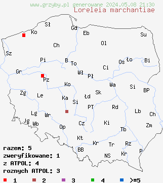 znaleziska Loreleia marchantiae (pępóweczka wątrobowcowa) na terenie Polski