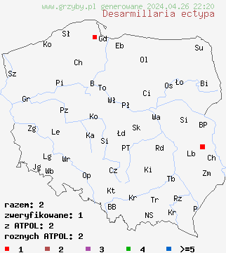 znaleziska Desarmillaria ectypa na terenie Polski