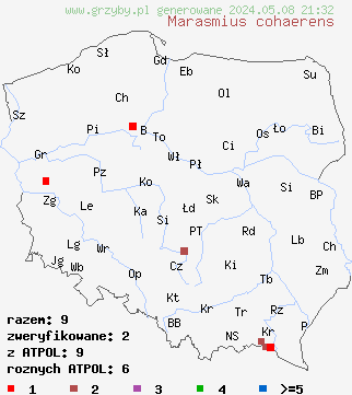 znaleziska Marasmius cohaerens na terenie Polski