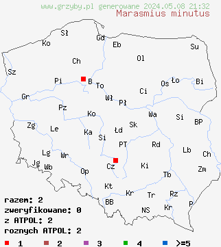 znaleziska Marasmius minutus (twardzioszek malutki) na terenie Polski
