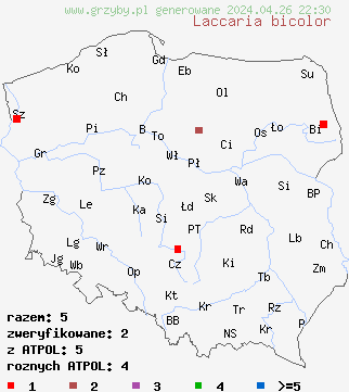 znaleziska Laccaria bicolor na terenie Polski