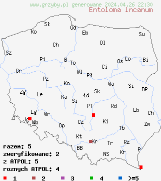znaleziska Entoloma incanum na terenie Polski
