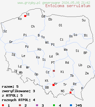 znaleziska Entoloma serrulatum na terenie Polski