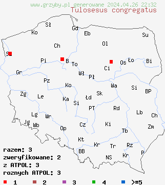 znaleziska Coprinellus congregatus na terenie Polski