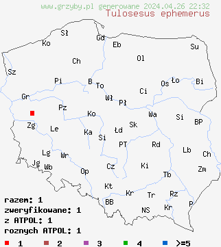 znaleziska Tulosesus ephemerus na terenie Polski