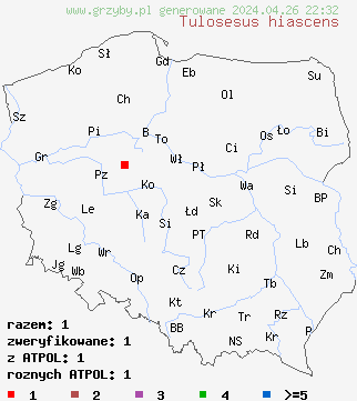 znaleziska Tulosesus hiascens na terenie Polski