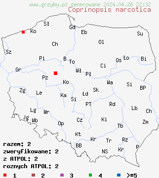 znaleziska Coprinopsis narcotica na terenie Polski