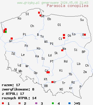 znaleziska Parasola conopilea (kruchaweczka twardotrzonowa) na terenie Polski