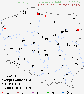 znaleziska Psathyrella maculata na terenie Polski